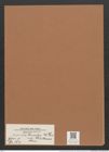 Navicula hennedyi var. tahitensis Cleve (de-Toni-Nr.: Genus 1, Species 364) Zeichnungen Sammlung Grunow Mappe 00333 (Herbarium_W_Grunow_drawings_Folder_00333)